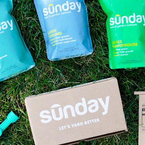 Visual Reference: Sunday Non Toxic Lawn Care