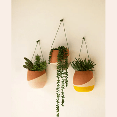 Clay Wall Planter Set - Outdoor Space Designs