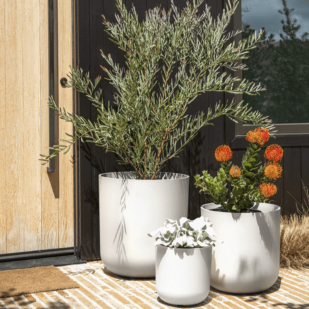 pure series hanging kona bowl planter Mason Kona Planter Collection – Outdoor Space Designs