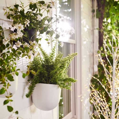 Wall Planter Collection - Outdoor Space Designs