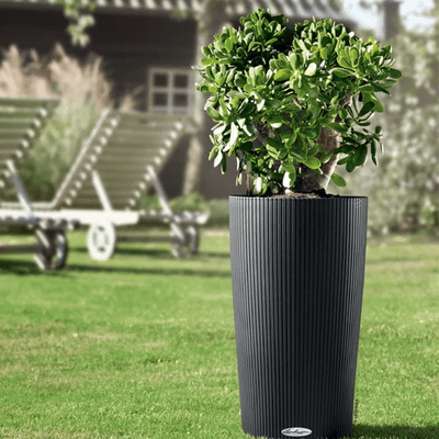 Clindro Self-Watering Planter - Outdoor Space Designs