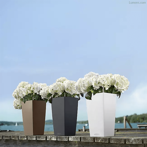 lechuza self watering plant pots Lechuza Self-Watering Planter – Outdoor Space Designs